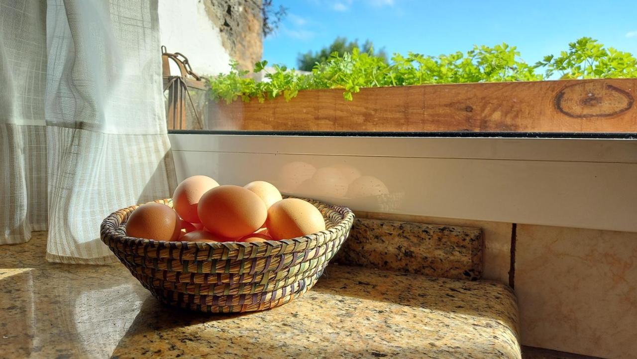 Casa Natura Ainhoa La Oliva Luaran gambar