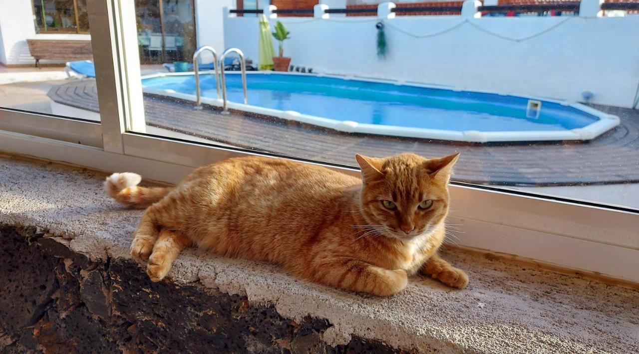 Casa Natura Ainhoa La Oliva Luaran gambar